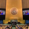 Vietnam supports reform of UN General Assembly’s operation 