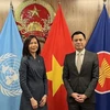 Countries see Vietnam as model in implementing SDGs: UN official