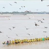 Cambodia kicks off national water festival