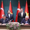 Vietnamese, Turkish national flag carriers cooperate on goods transport