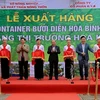 Hoa Binh exports first batch of “Dien” pomelos to US