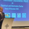 Vietnamese, Indian firms seek to boost cooperation in electricals, electronics 