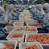 Shrimp exports to reach 3.4 billion USD in 2023: VASEP