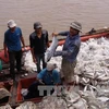 Malaysia sees sharp drop in seafood catches