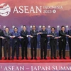  ASEAN-Japan relations thrive over 50 years