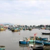 Binh Thuan intensifies measures against IUU fishing