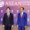 Indonesia, Japan to implement amended economic partnership agreement