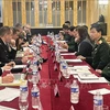 Vietnam, France hold defence strategy and cooperation dialogue