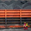 Indonesia looks into exploitation of rare earth elements from coal 