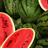 China gives green light to import of Vietnamese watermelon via official channel