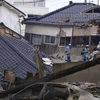 No casualties among Vietnamese citizens in Japan due to earthquake recorded: Embassy
