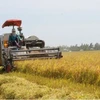 Vietnam, Canada hold huge cooperation potential in agriculture: Canadian insiders