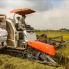Italian firms seek to boost partnership in agricultural mechanisation in Vietnam