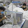 Vietnamese industries eye ambitious export goals in 2024