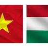 PM’s visit to bolster Vietnam - Hungary comprehensive partnership: Ambassador
