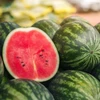 Protocol expected to raise Vietnamese watermelon shipments to China
