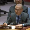 Vietnam renews appeal for immediate ceasefire in Gaza Strip