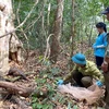 Endangered species released back to nature in southern Vietnam