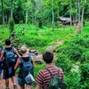 Vietnam advised to promote development of forest-based ecotourism