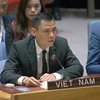 Vietnam continues call for ceasefire in Gaza Strip