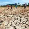El Nino costs Philippine agriculture up to nearly 19 mln USD