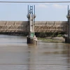 Saltwater intrusion threatens Mekong Delta rice crop