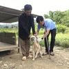 PM requests strict rabies prevention and control