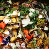 Thai researchers turn food waste into biochar