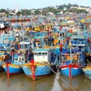 Kien Giang makes efforts to overcome EC warnings against illegal fishing