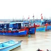 Quang Binh strives to combat IUU fishing