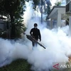 Indonesia logs twofold increase in dengue cases