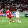 Vietnam suffers loss to Indonesia in World Cup qualifiers