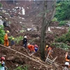 Landslide in Indonesia's West Java leaves one dead, nine missing 