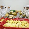 Breakthroughs recorded in fruit, vegetable exports in Q1