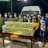 Transnational drug ring busted in Quang Tri province