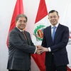 Vietnam, Peru strengthen cooperation in auditing