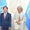 Deputy PM Le Minh Khai meets UN Deputy Secretary General
