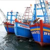 Vessels involved in IUU fishing decline sharply in Ba Ria - Vung Tau