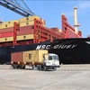 Over 170,000 DWT container ship docks at Ba Ria – Vung Tau’s deep-water port