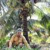 Tra Vinh exports organic coconut flower nectar to Australia