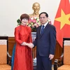 Vietnam treasures role of UNESCO: Foreign Minister