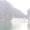 Hai Phong taps sea, island tourism potential