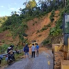 Landslides kill 16, leave 37 missing in Quang Nam province