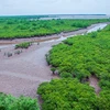 Exploring nine Ramsar sites of Vietnam