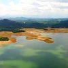 Vietnam strives to protect wetlands – “cradle” of biodiversity