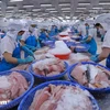 Vietnam to meet EC’s anti-IUU fishing recommendations
