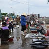 Dong Hoi fish market - a must-go destination when visiting Quang Binh