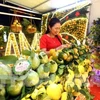 Diversified activities at fruit fair in Luc Ngan district