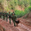 Border guard force: The iron shield to prevent COVID-19 disease of Vietnam