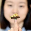 Meet a Vietnamese girl with a passion for miniature food models